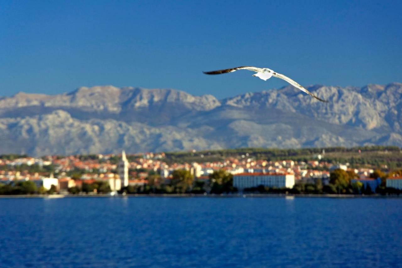 Appartement Kuki With Balcony Zadar